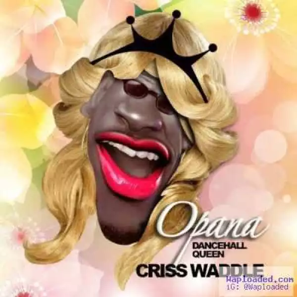 Criss Waddle - Opana (Shatta Wale Diss)
